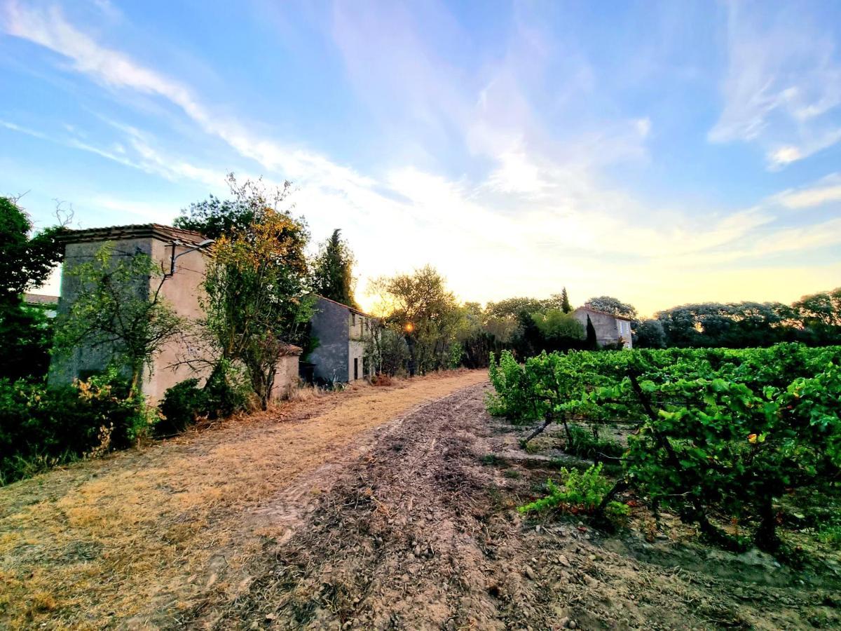 Bed and Breakfast Les berges de l'aude à Puicheric Extérieur photo
